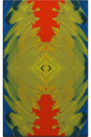 FEATHERY ILLUSIONS